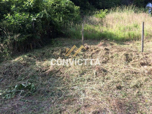 Terreno para Venda em Caxias do Sul - 3