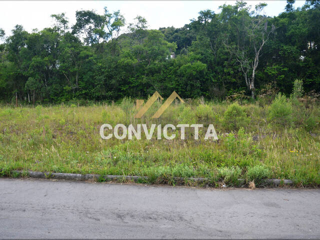 Terreno para Venda em Caxias do Sul - 5