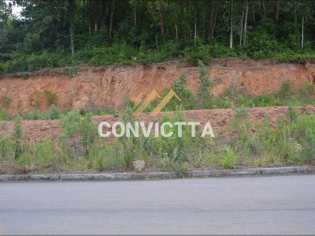 Terreno para Venda em Caxias do Sul - 4