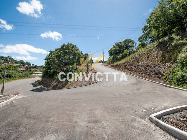 Terreno para Venda em Caxias do Sul - 1