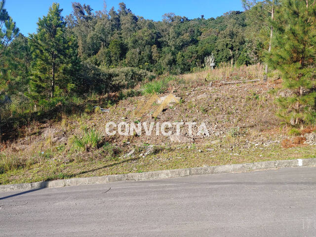 Terreno para Venda em Caxias do Sul - 2