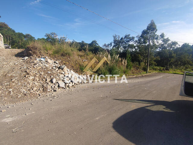 #893 - Terreno para Venda em Caxias do Sul - RS - 1