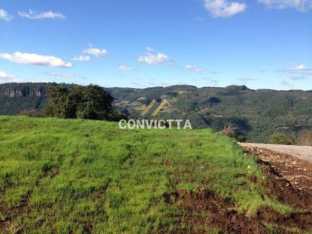 Terreno para Venda em Caxias do Sul - 3