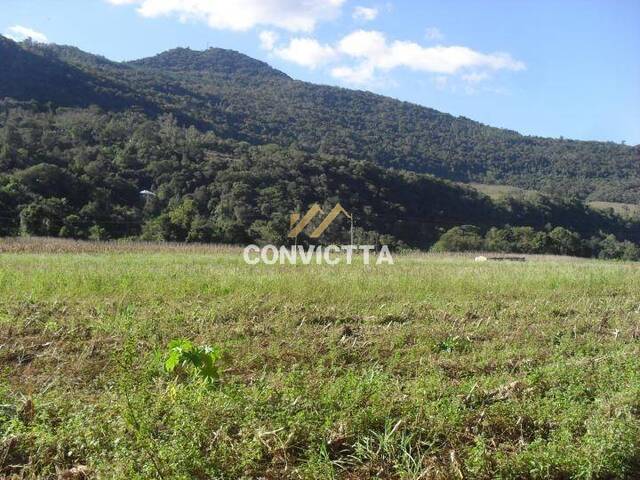 Terreno para Venda em Caxias do Sul - 1