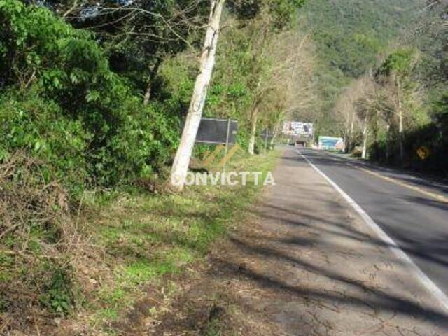 #TE03 - Terreno para Venda em Caxias do Sul - RS - 2