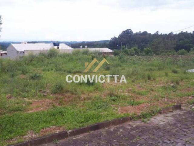 #TE 304 - Terreno para Venda em Caxias do Sul - RS - 2