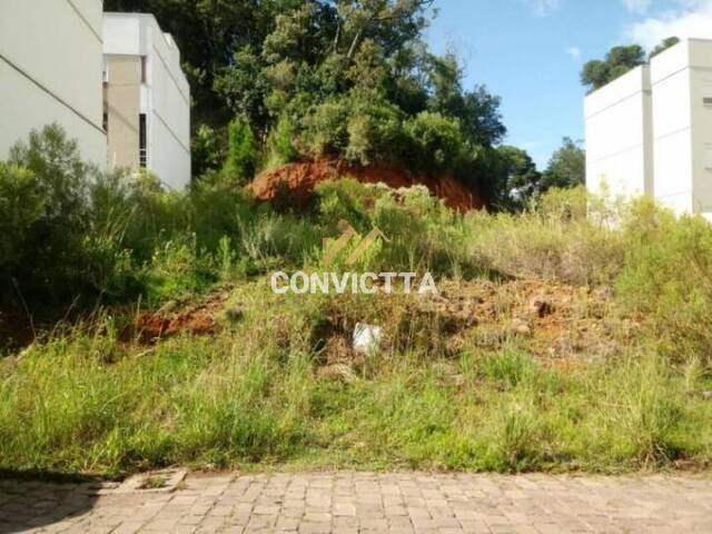 Terreno para Venda em Caxias do Sul - 1