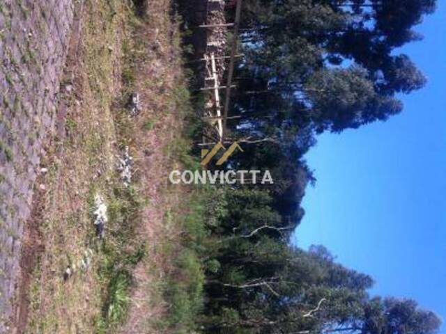 #TE05 - Terreno para Venda em Caxias do Sul - RS - 1