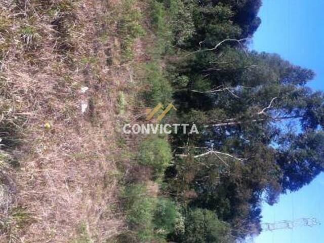 #TE05 - Terreno para Venda em Caxias do Sul - RS - 3