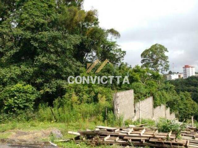 Terreno para Venda em Caxias do Sul - 2